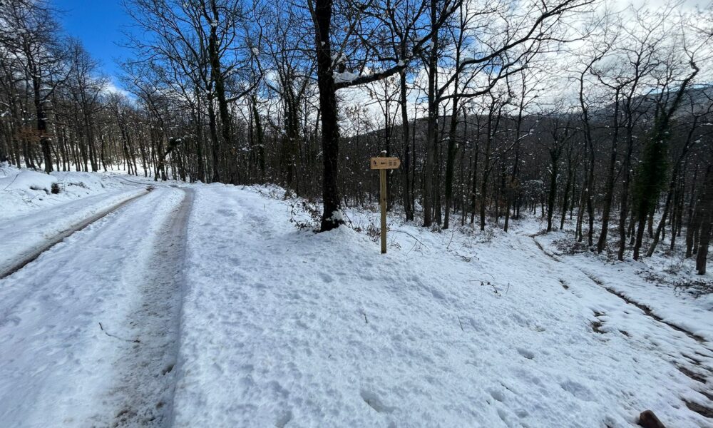 Nevadas y mínimas de diez grados bajo cero en un finde helador