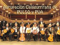 Agrupación Calagurritana de Pulso y Púa