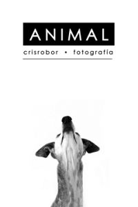 Animal+y+Crisrobor