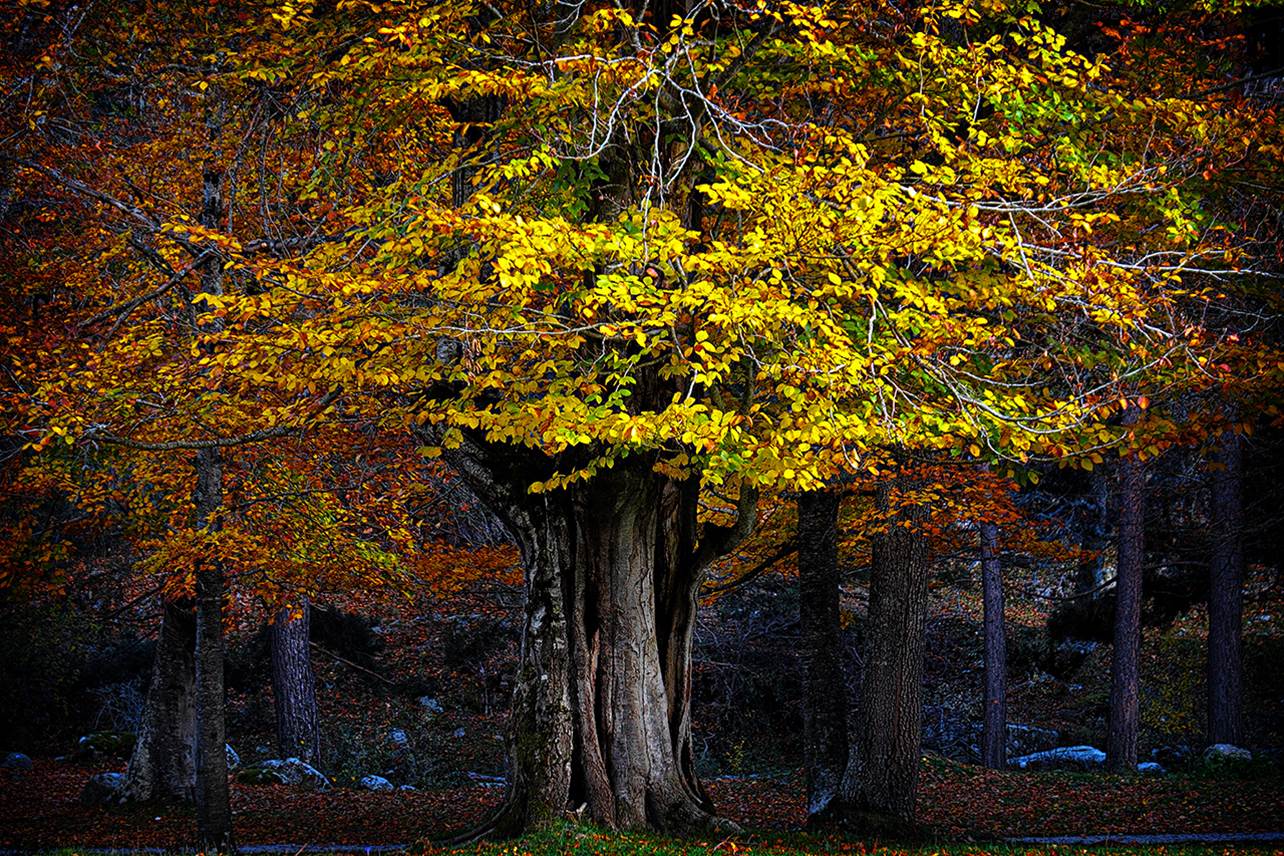 Segundo Premio del IX Concurso Fotográfico Medio Ambiente de La Rioja