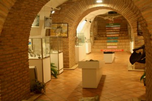 museo-ciencias-arnedo