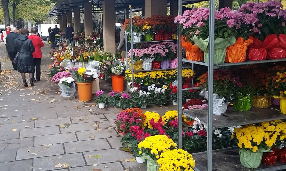 Floristería Elizalde Floristería Elizalde