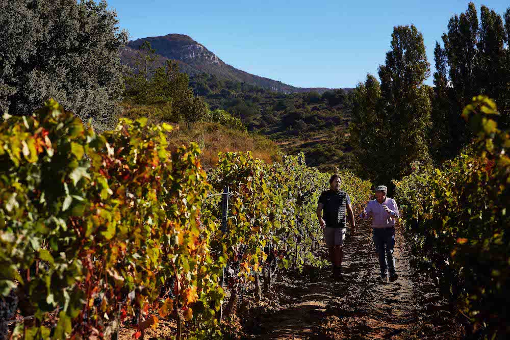 16/10/18 Bodegas Exopto, Abalos (La Rioja) y Laguardia (Alava). Photo by James Sturcke | sturcke.org