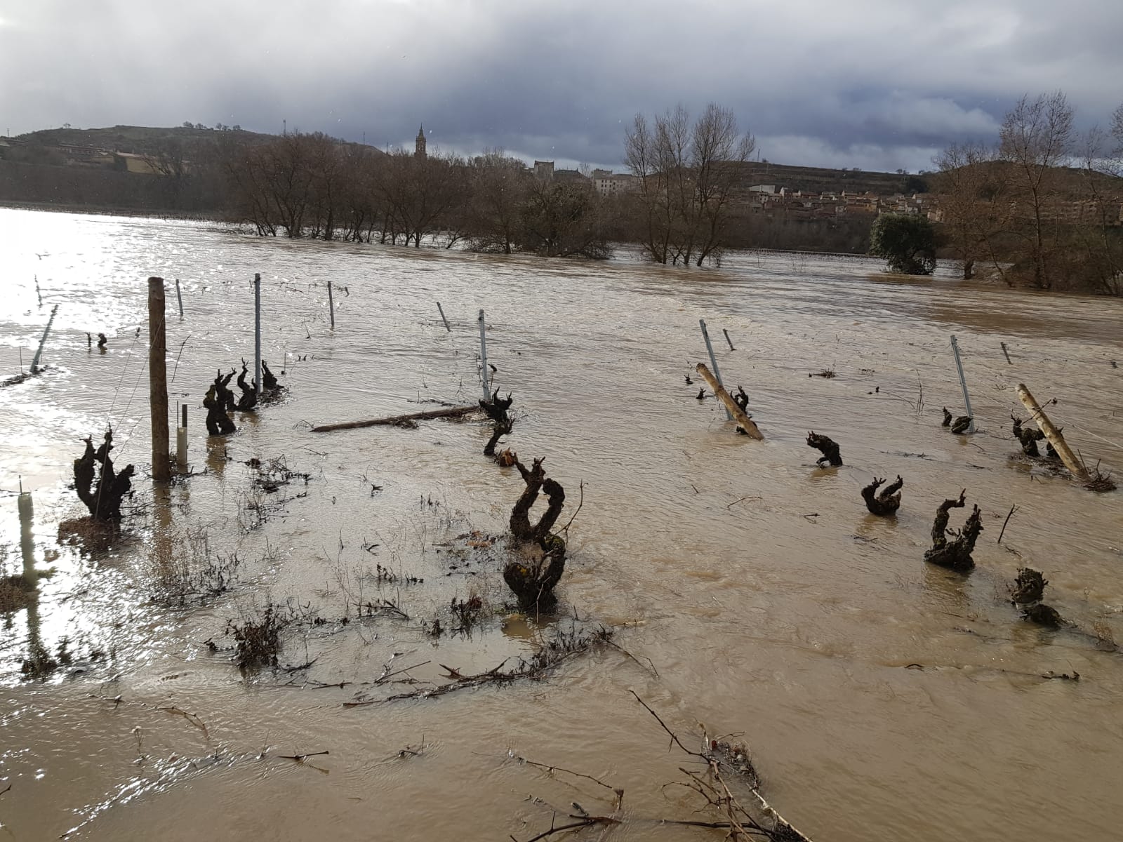 Paraje de 'La Campanilla' en Cenicero | 25 de enero de 2019 | Foto: David Castro (Garañango)
