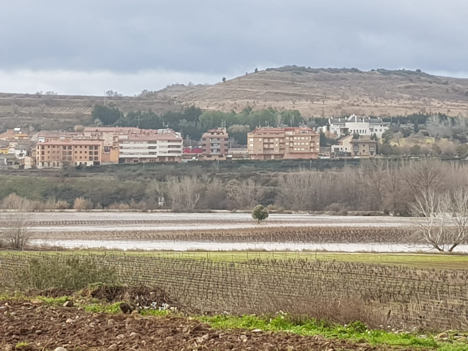 Paraje de 'La Campanilla' en Cenicero | 25 de enero de 2019 | Foto: David Castro (Garañango)