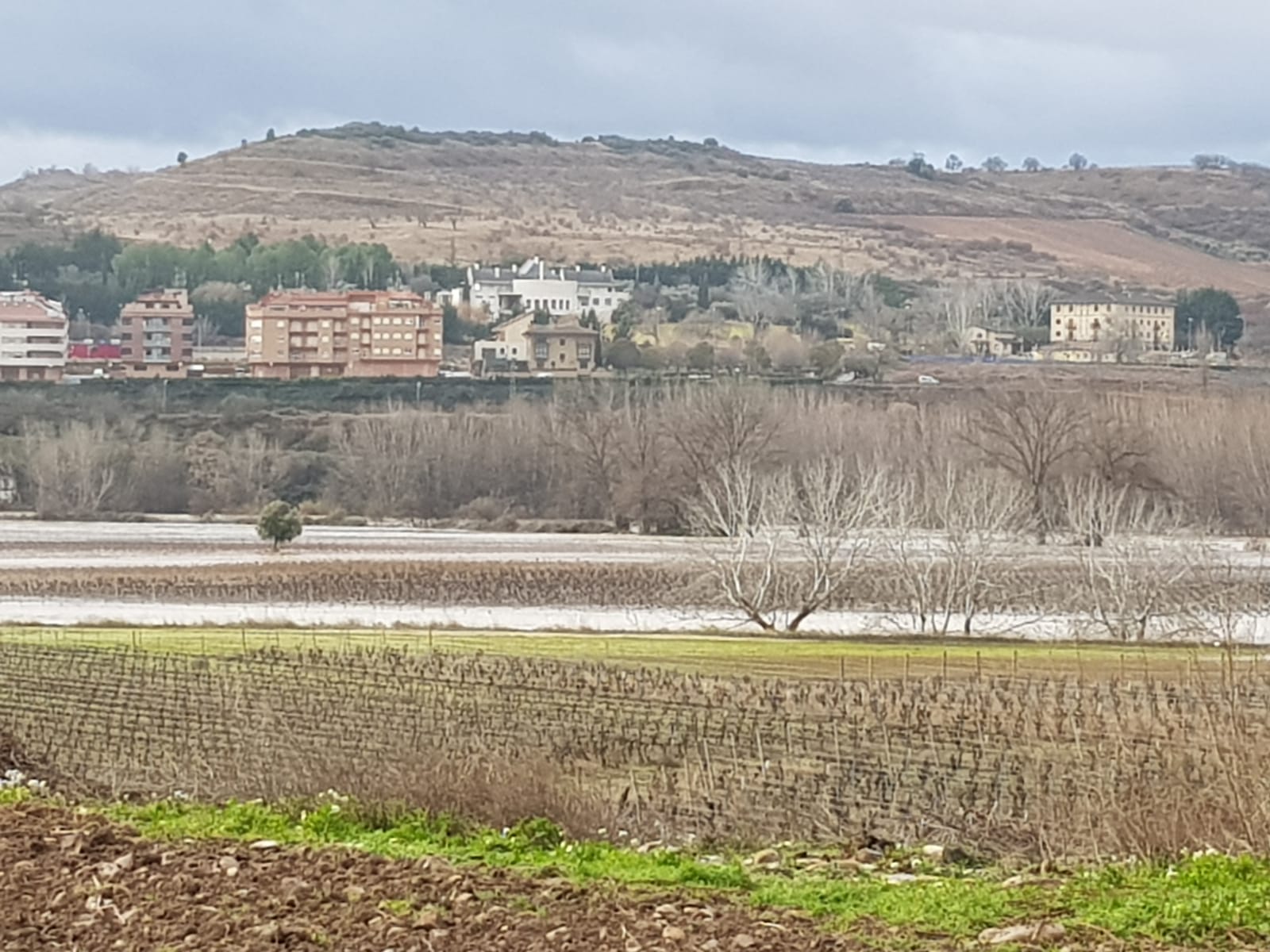 Paraje de 'La Campanilla' en Cenicero | 25 de enero de 2019 | Foto: David Castro (Garañango)
