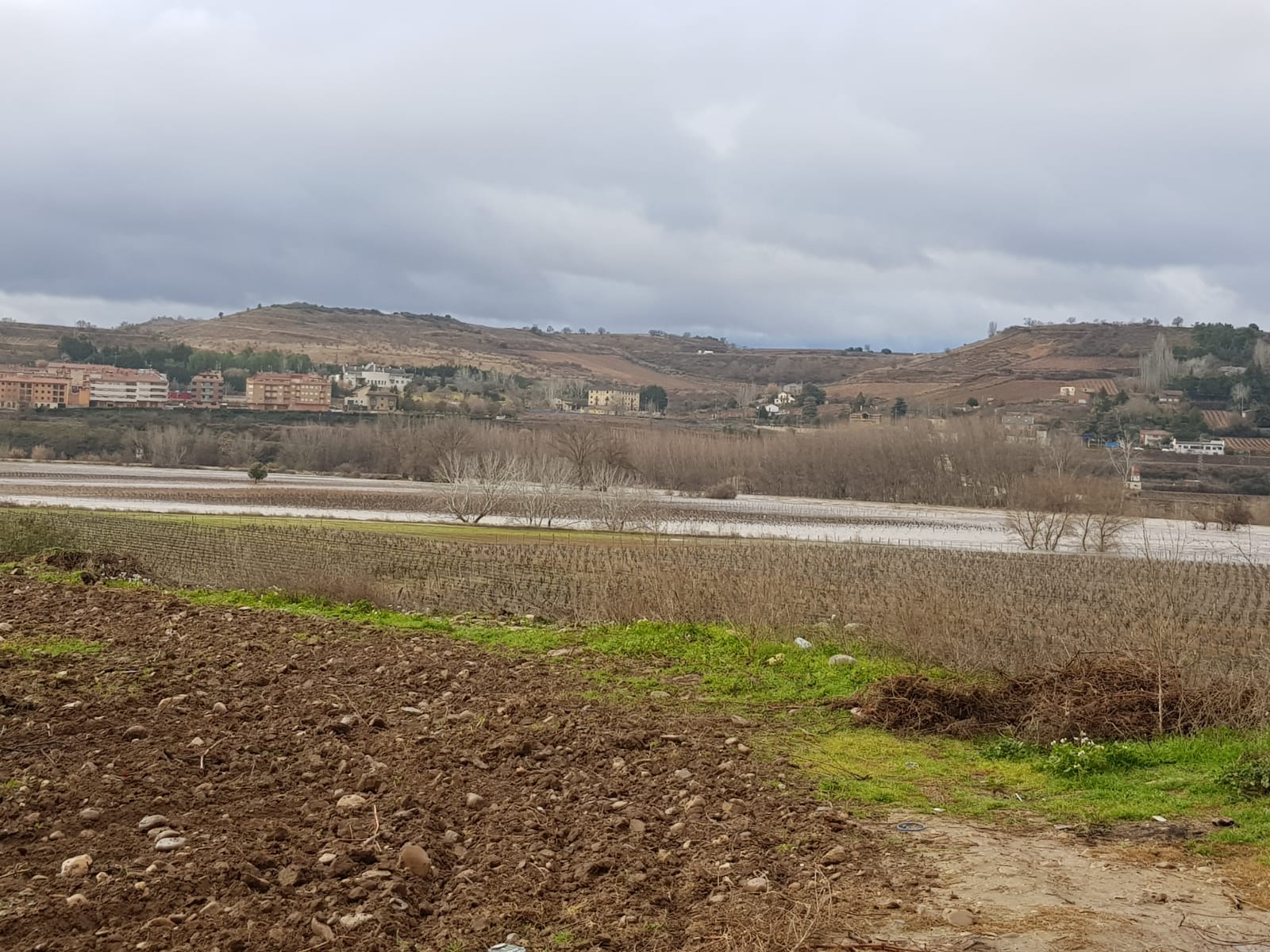 Paraje de 'La Campanilla' en Cenicero | 25 de enero de 2019 | Foto: David Castro (Garañango)