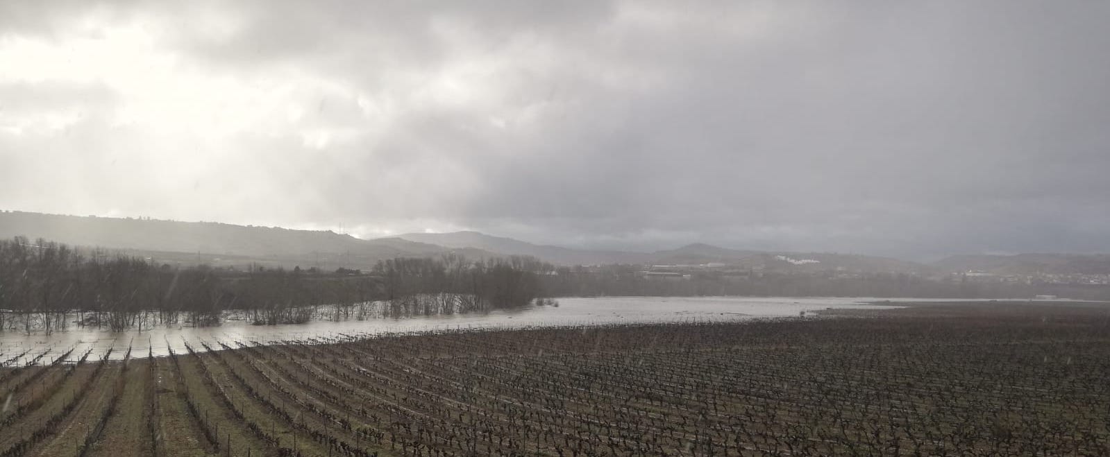 Elciego (Rioja Alavesa) | 25 de enero de 2019