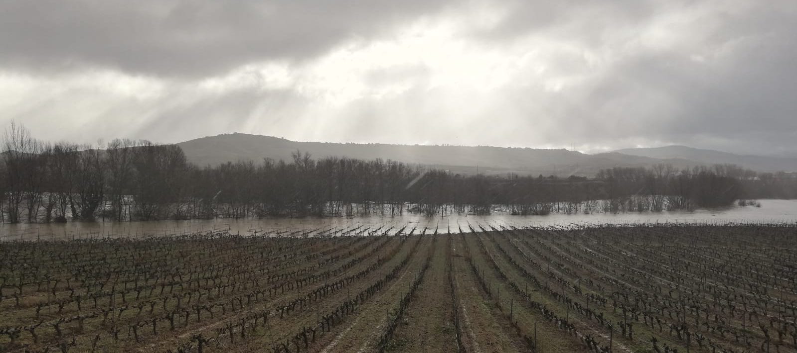Elciego (Rioja Alavesa) | 25 de enero de 2019