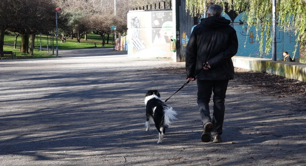 Petición · Ayuntamiento de Teruel: Parque para perros en calle