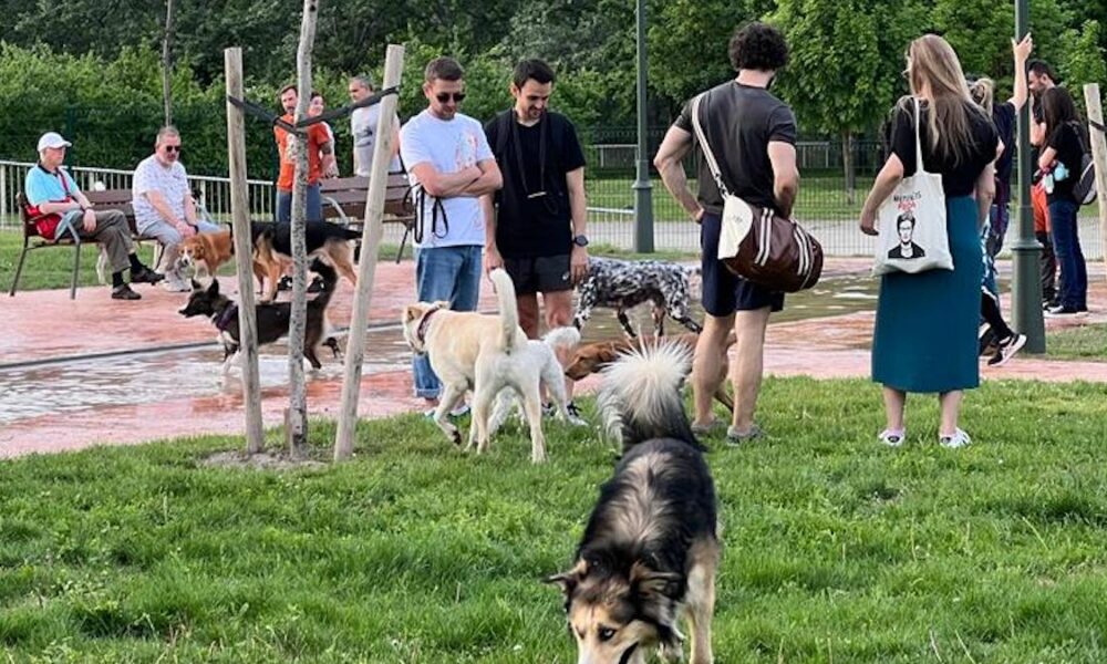 Logroño abre un nuevo 'spa' para perros en el Parque de la Ribera