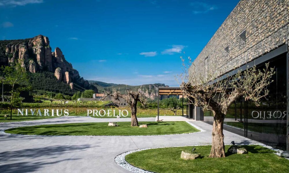 Weekly Rioja Wine Events: Tastings, Music, and Sunsets
